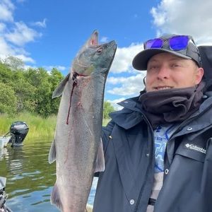 Meet your Posher, Juan